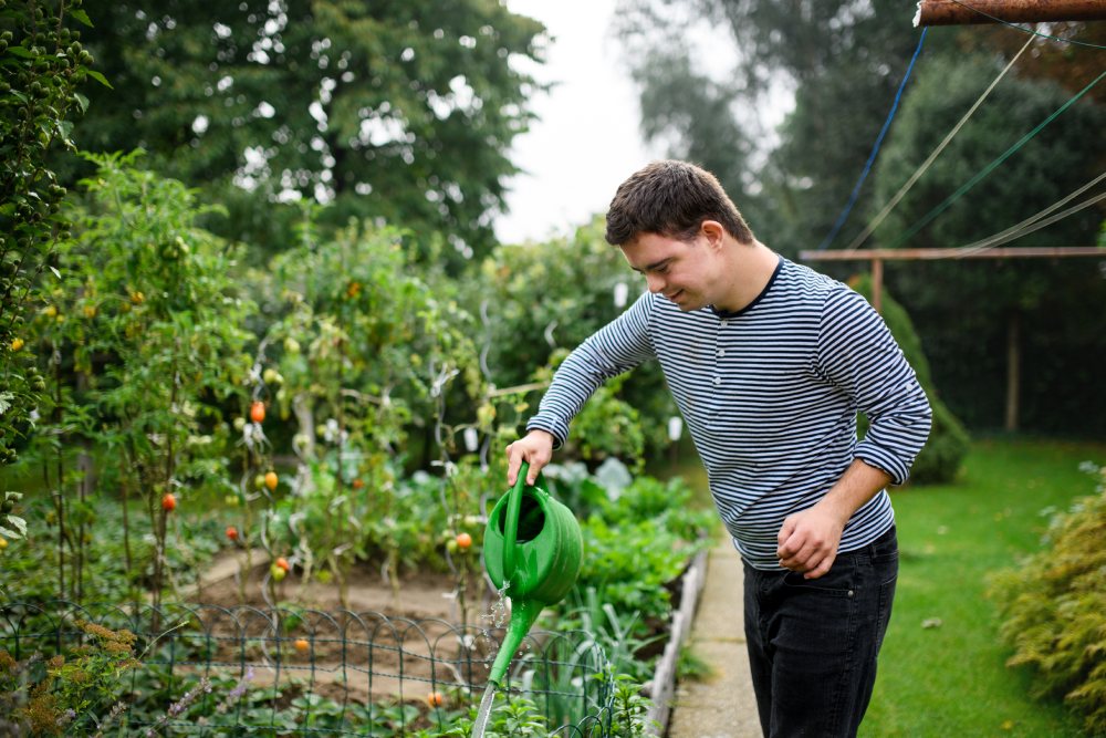 Man watering plants